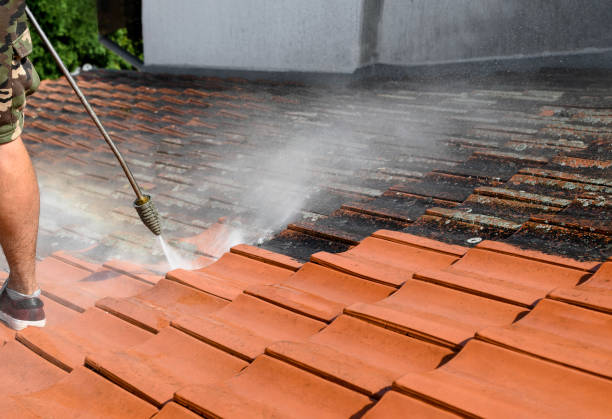 Best Power Washing Near Me  in Hedwig Village, TX