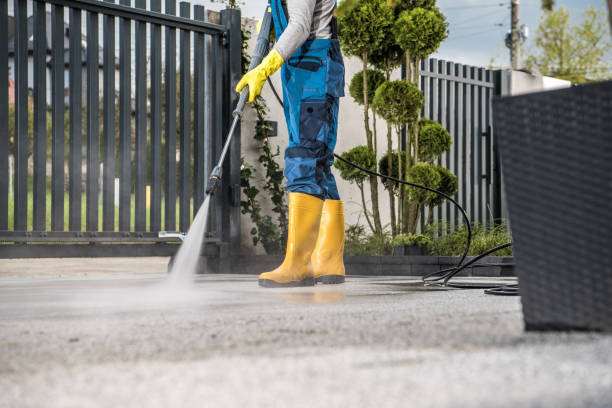 Best Roof Pressure Washing  in Hedwig Village, TX